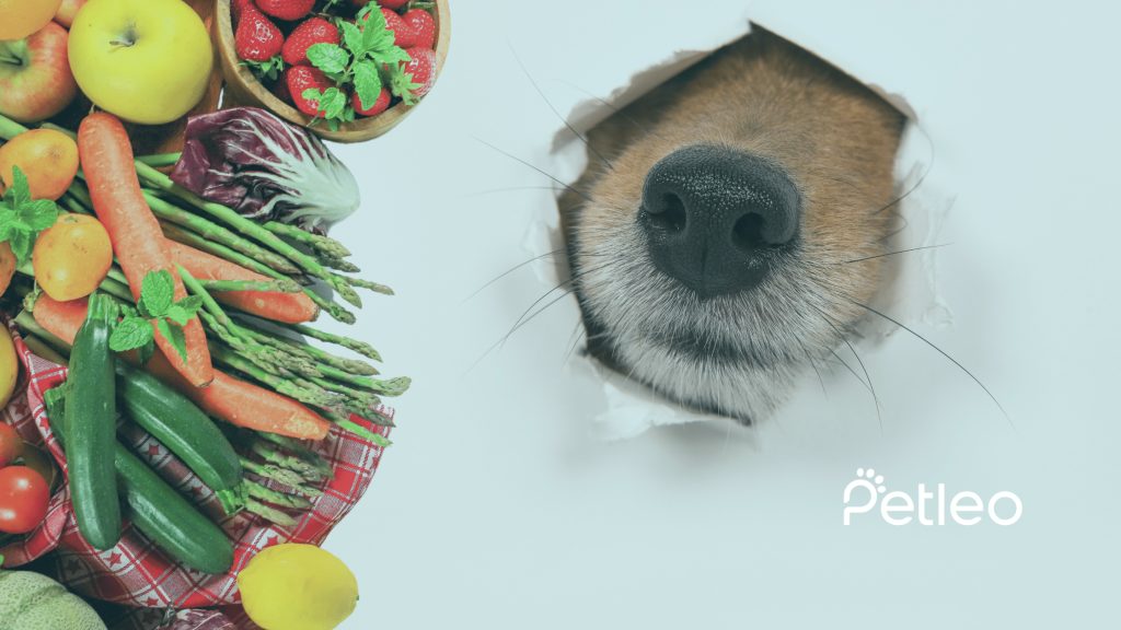 dog eats vegetable fruit